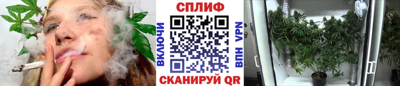 Какие есть наркотики Грязи Кокаин  АМФЕТАМИН  Alpha PVP  МАРИХУАНА  Экстази  Гашиш 