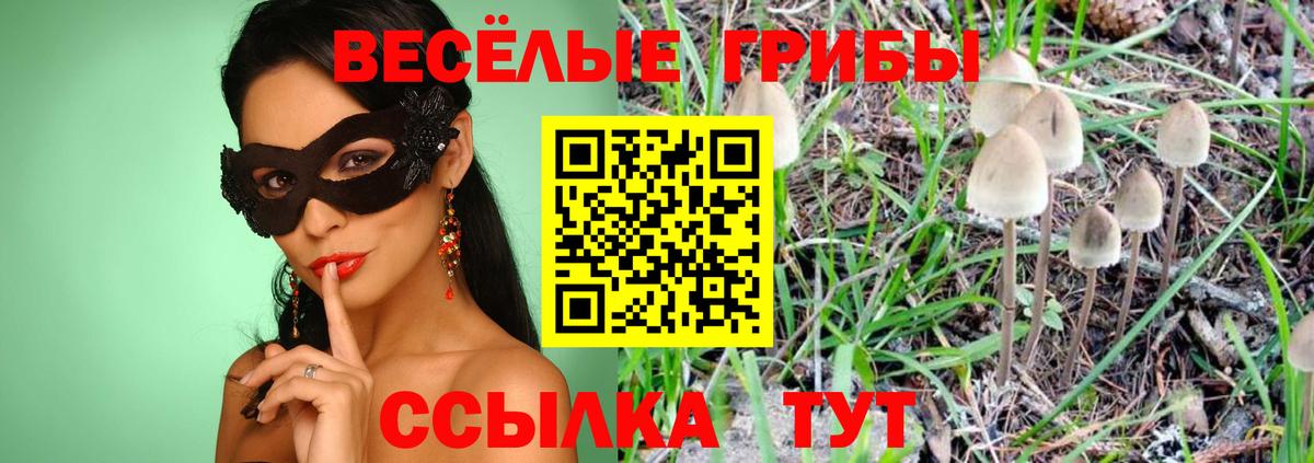 Псилоцибиновые грибы Psilocybe Грязи